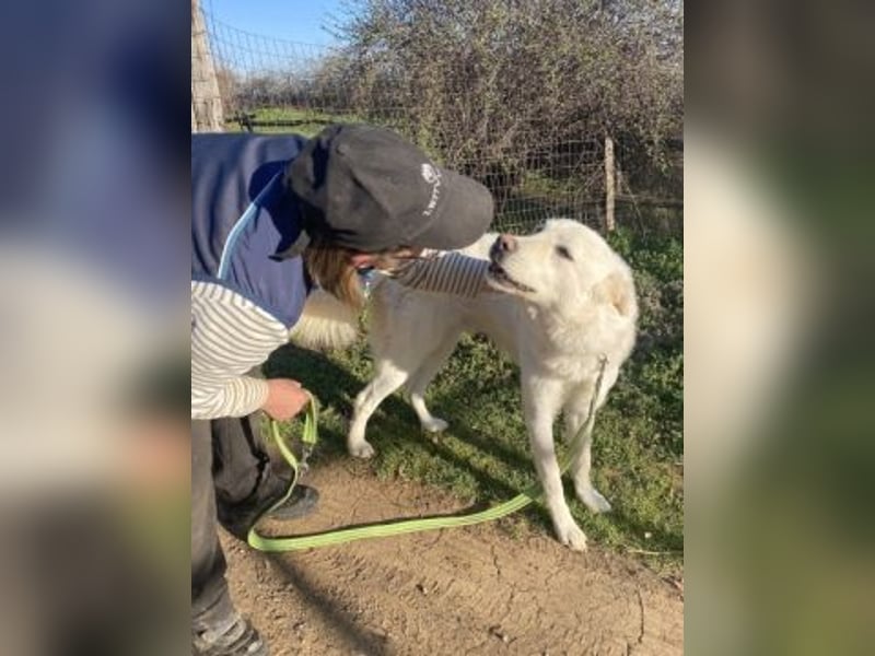 Lio - jung, hübsch sucht Anschluss