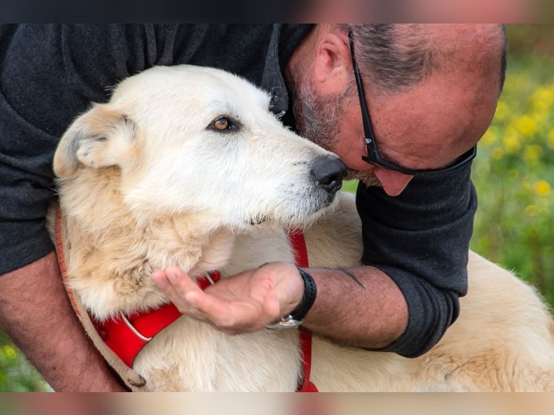 Obelix – ein tapferer Bursche