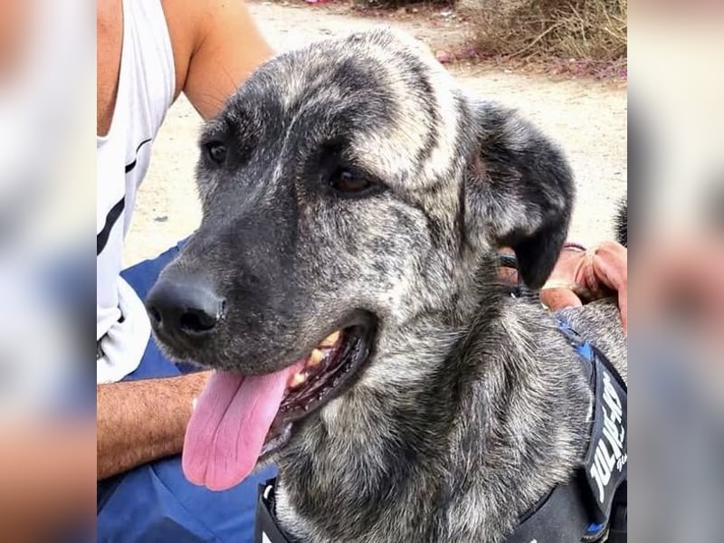 Ayana - freundlich, offen und für Familien geeignet