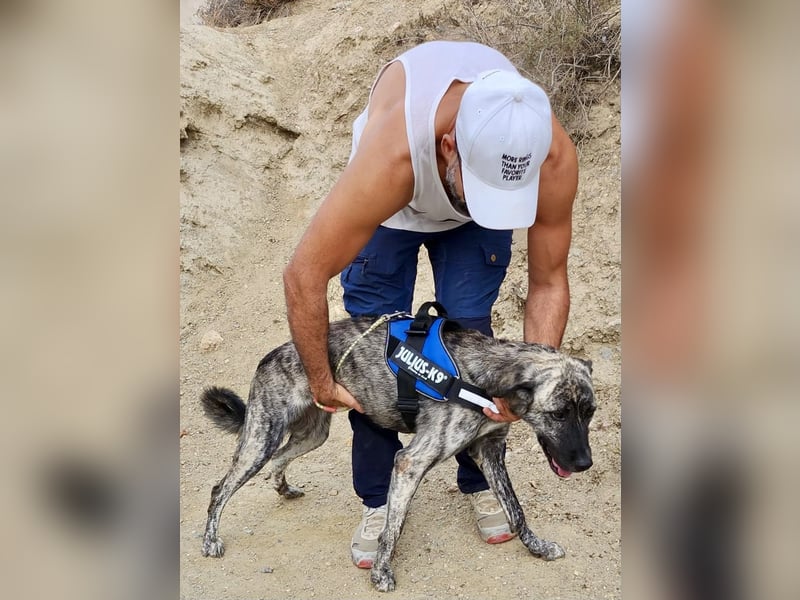 Ayana - freundlich, offen und für Familien geeignet