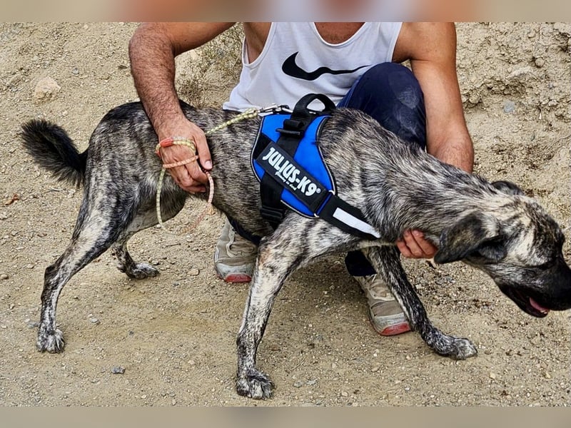 Ayana - freundlich, offen und für Familien geeignet