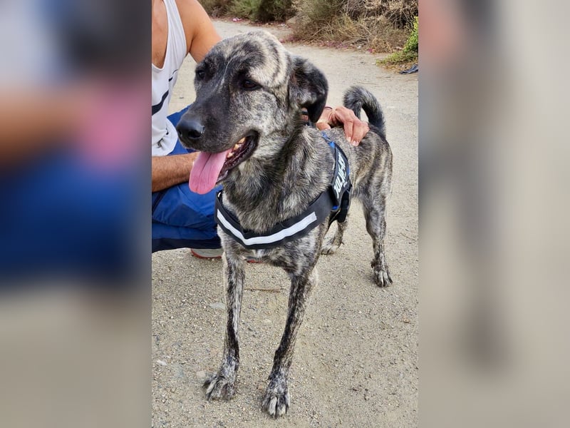 Ayana - freundlich, offen und für Familien geeignet