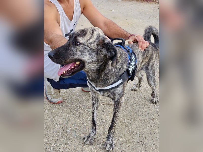 Ayana - freundlich, offen und für Familien geeignet