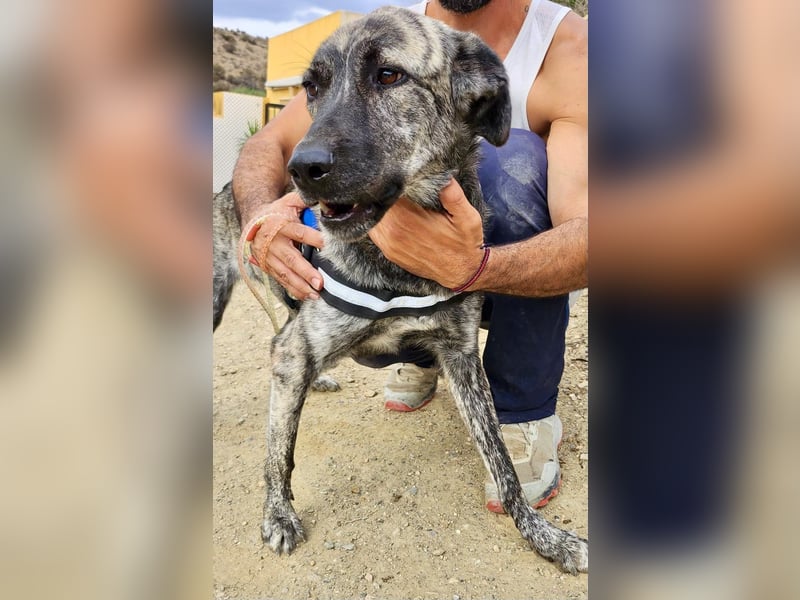 Ayana - freundlich, offen und für Familien geeignet