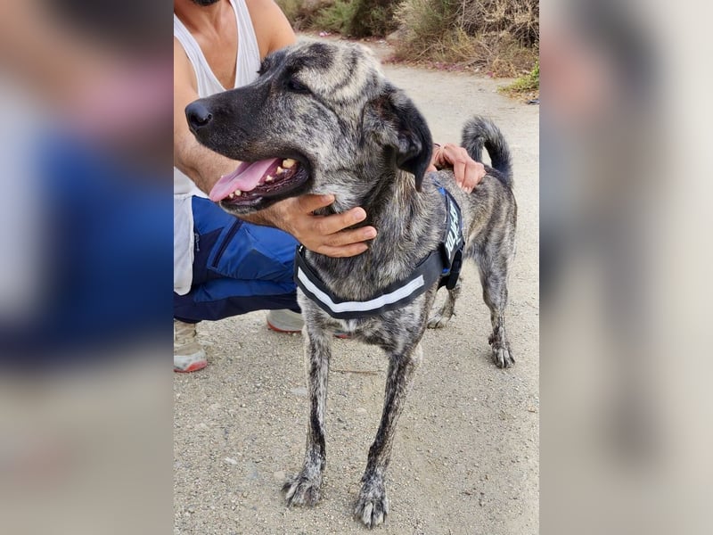 Ayana - freundlich, offen und für Familien geeignet