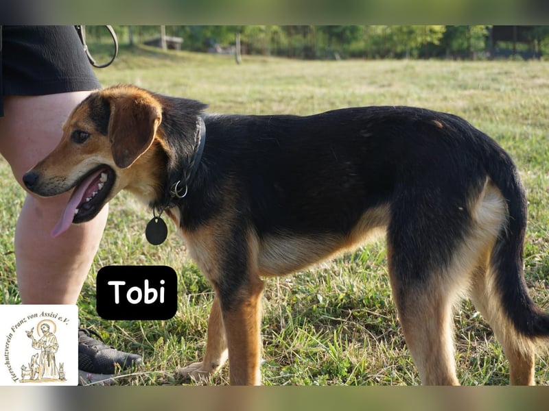 Tobi – Ready to Rock!