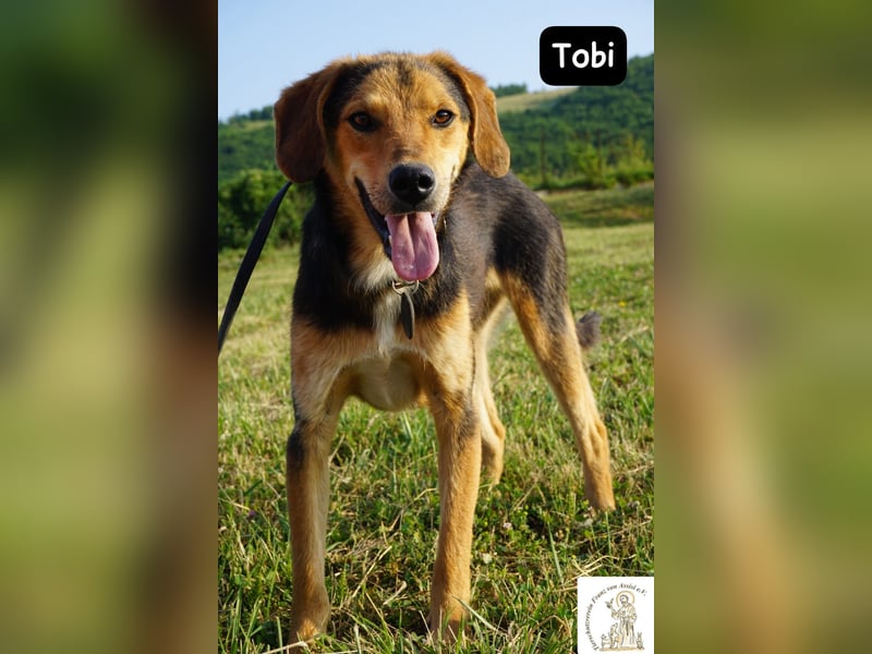 Tobi – Ready to Rock!