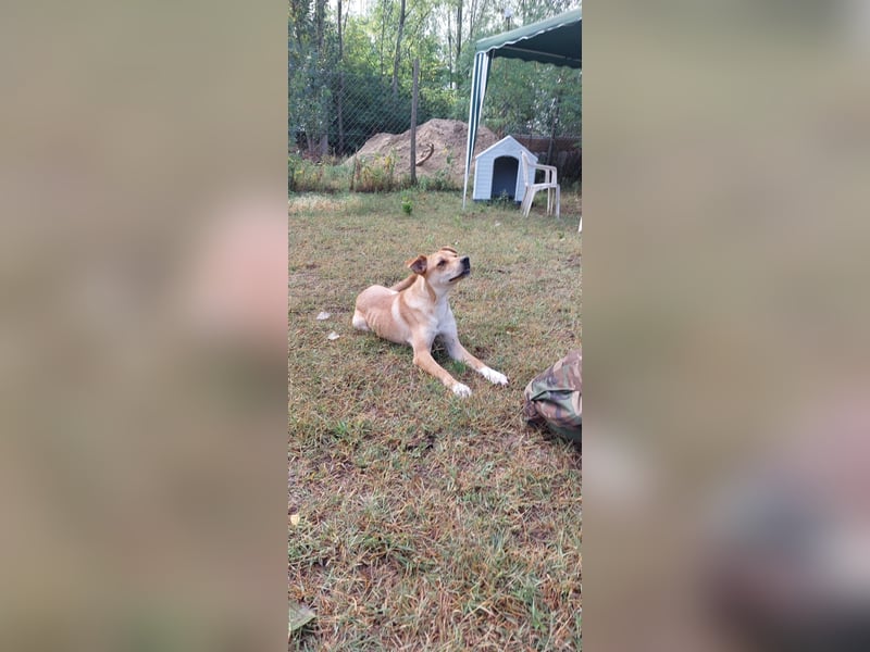 Miri sucht liebe Menschen Miri sucht liebe Menschen