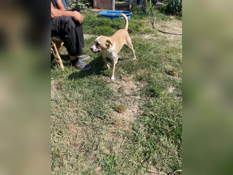 Ilonka möchte die Welt entdecken.