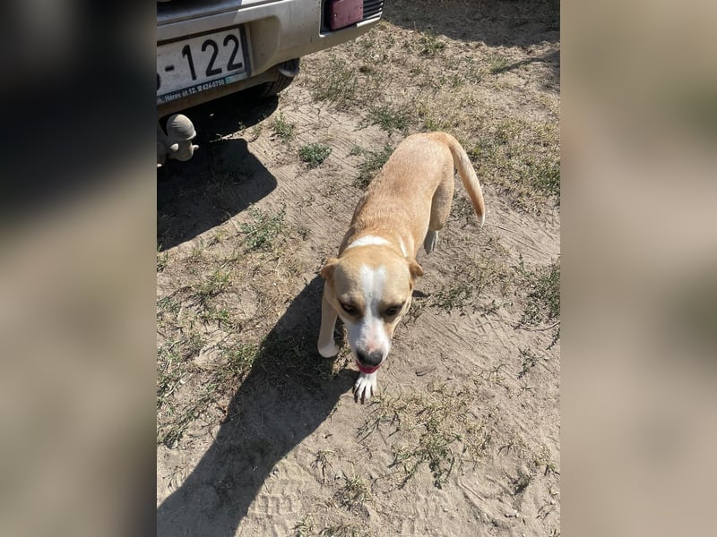 Ilonka möchte die Welt entdecken.