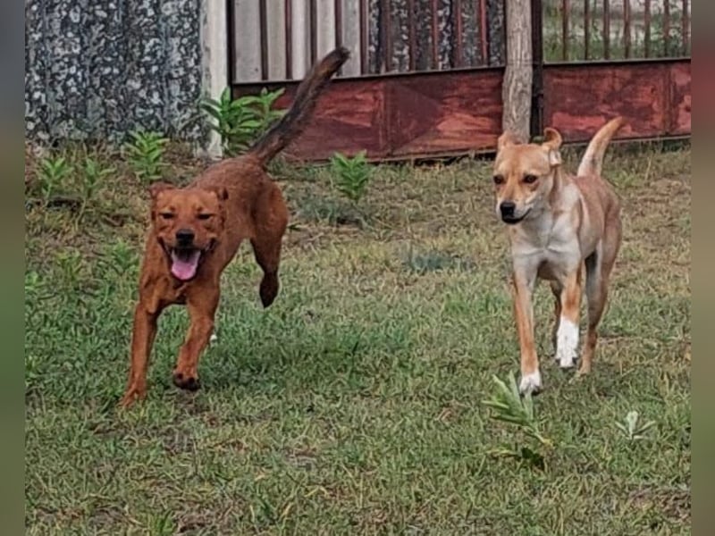 Miri sucht liebe Menschen Miri sucht liebe Menschen