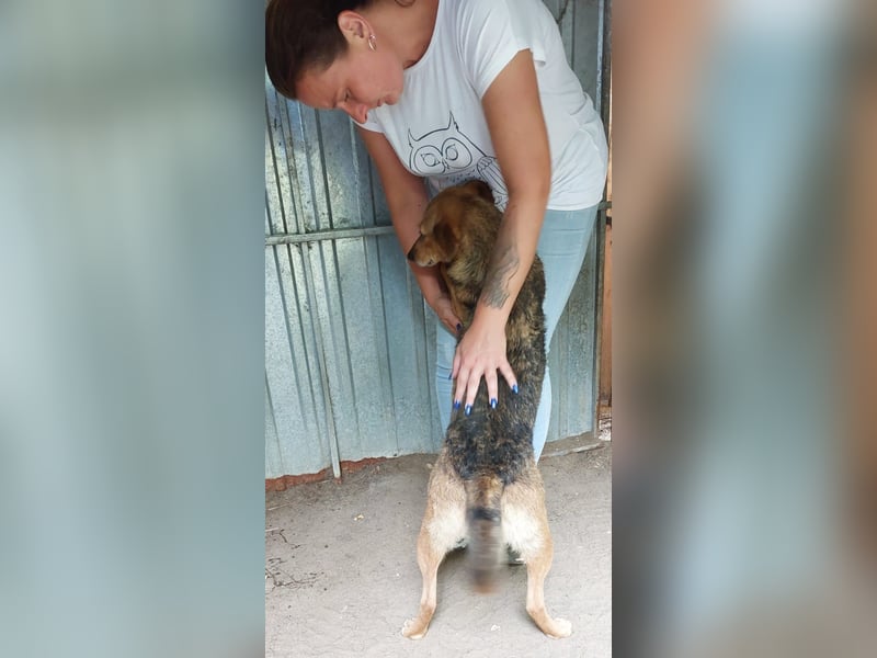 Unsere sanfte Seele Selena möchte endlich ankommen!