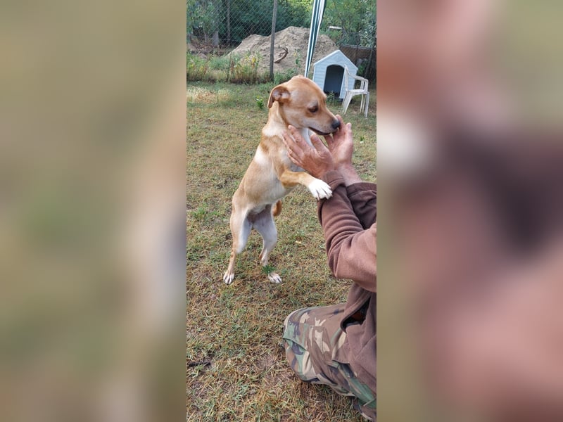 Miri sucht liebe Menschen Miri sucht liebe Menschen