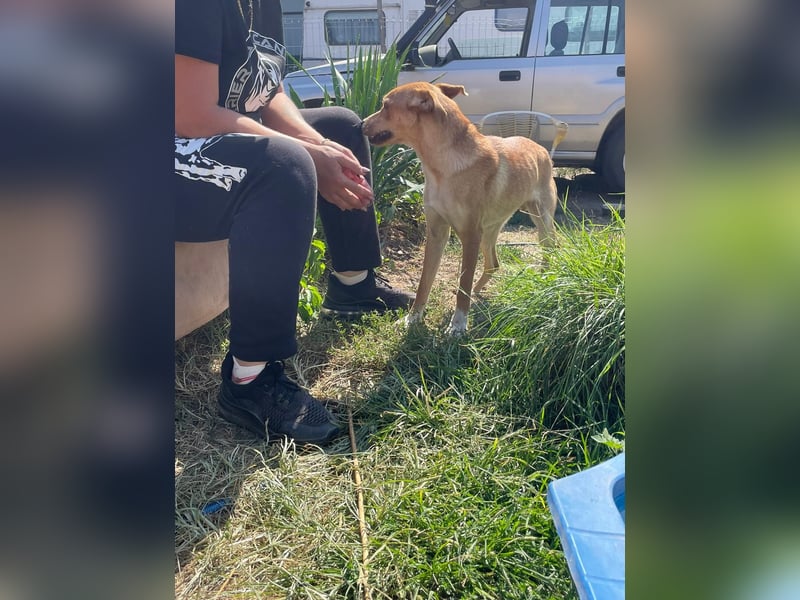 Miri sucht liebe Menschen Miri sucht liebe Menschen