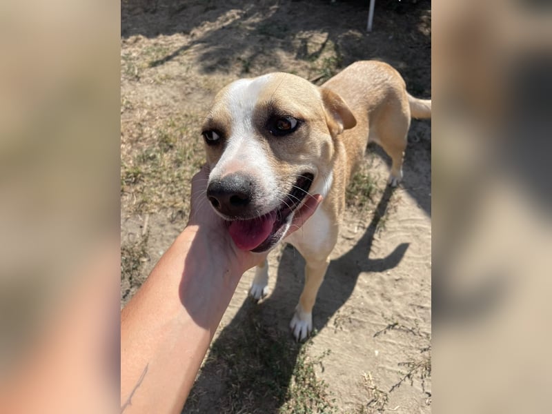 Ilonka möchte die Welt entdecken.