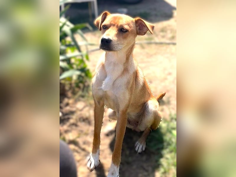 Miri sucht liebe Menschen Miri sucht liebe Menschen