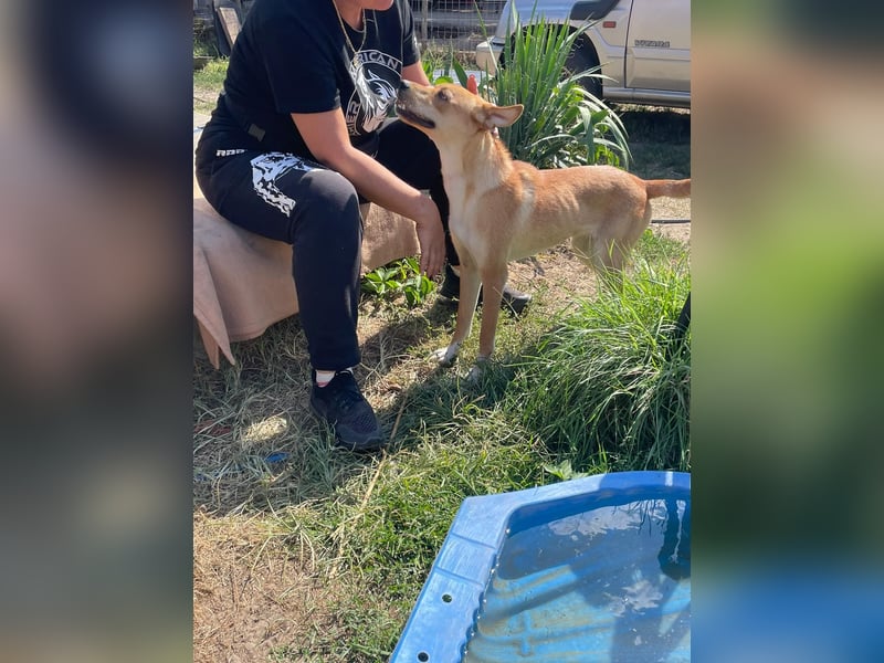 Miri sucht liebe Menschen Miri sucht liebe Menschen