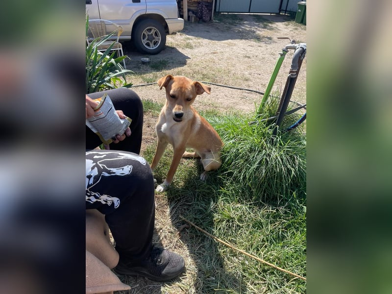 Miri sucht liebe Menschen Miri sucht liebe Menschen