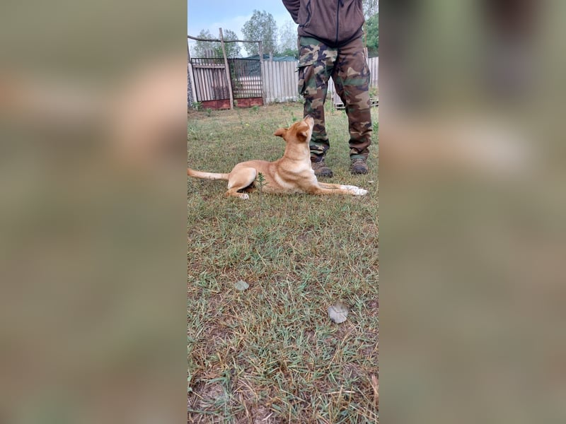 Miri sucht liebe Menschen Miri sucht liebe Menschen