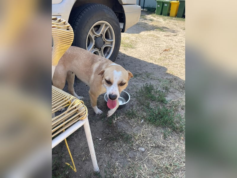 Ilonka möchte die Welt entdecken.