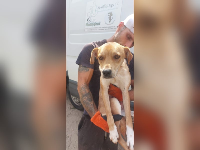 Miri sucht liebe Menschen Miri sucht liebe Menschen