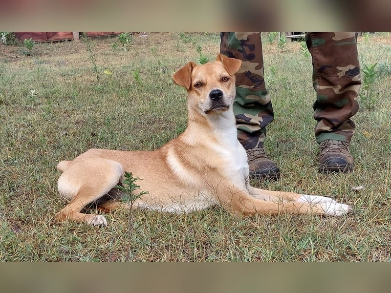 Miri sucht liebe Menschen Miri sucht liebe Menschen