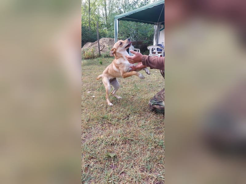 Miri sucht liebe Menschen Miri sucht liebe Menschen