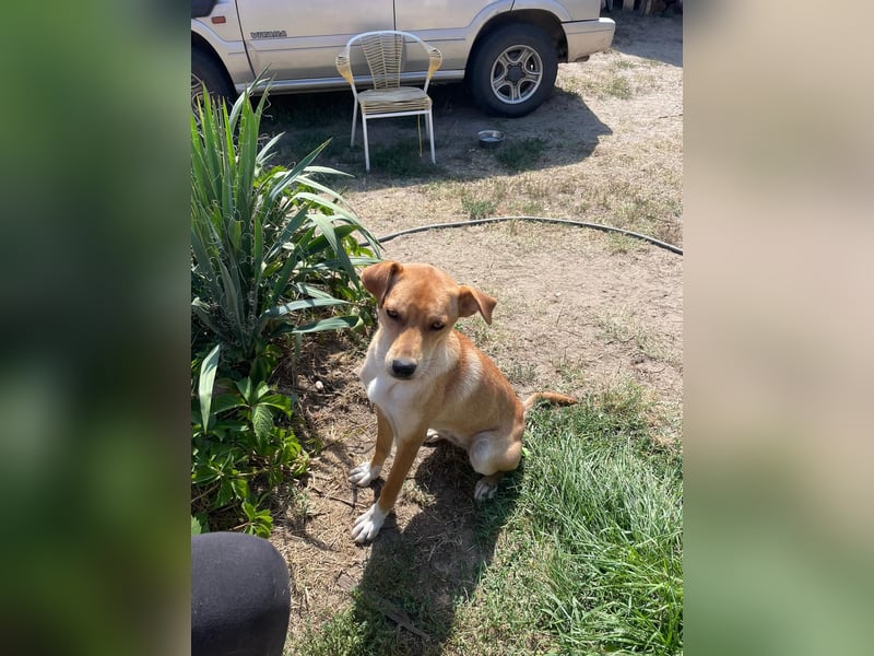 Miri sucht liebe Menschen Miri sucht liebe Menschen