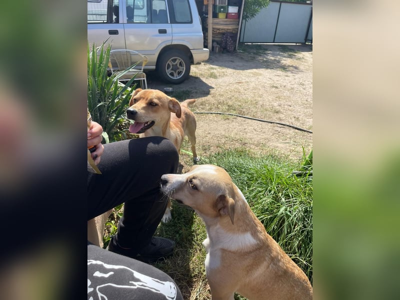 Ilonka möchte die Welt entdecken.