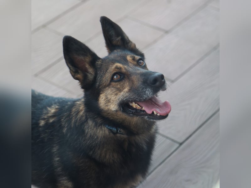 Wundervolle Eva sucht ihre Menschen