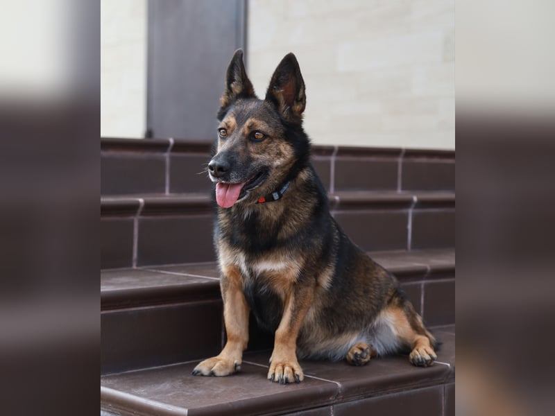 Wundervolle Eva sucht ihre Menschen