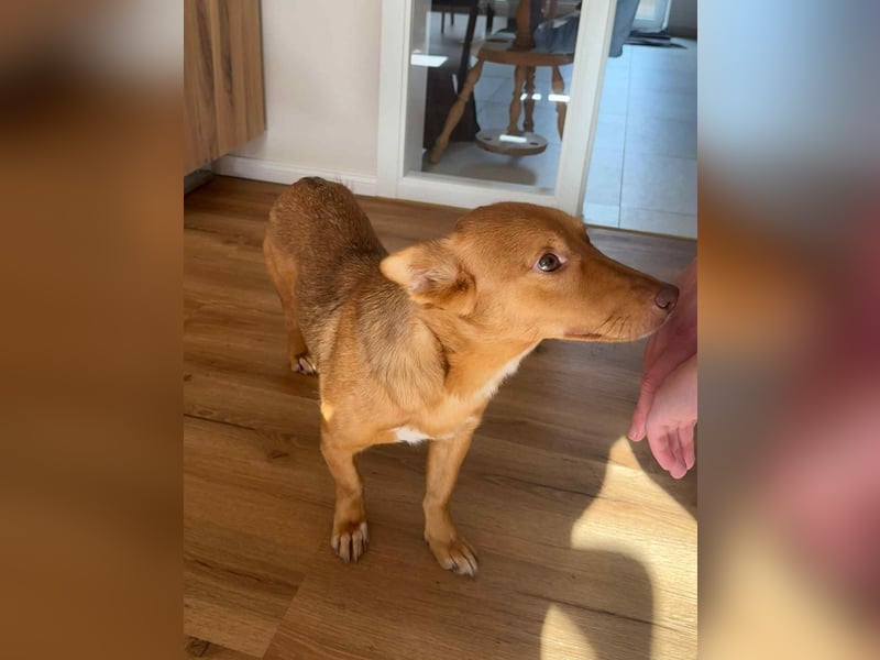 Zarte Kathi sucht ihre Menschen