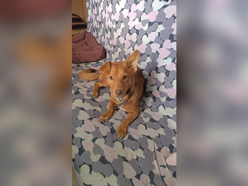 Zarte Kathi sucht ihre Menschen