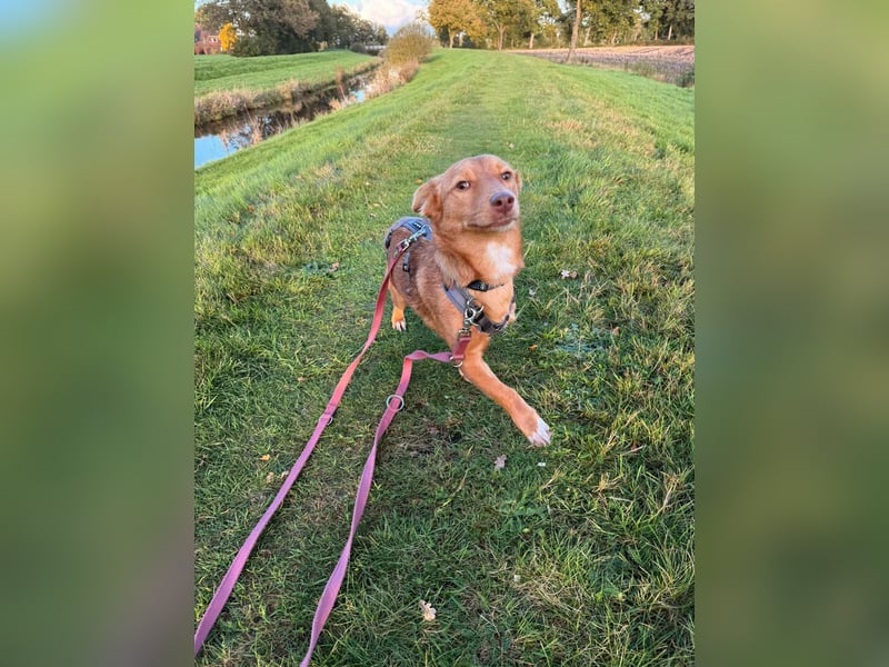 Zarte Kathi sucht ihre Menschen