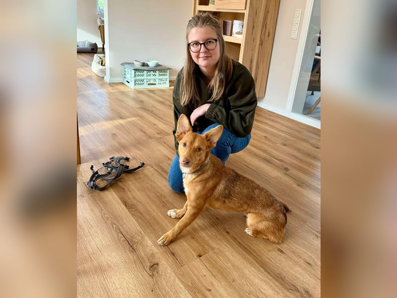 Zarte Kathi sucht ihre Menschen