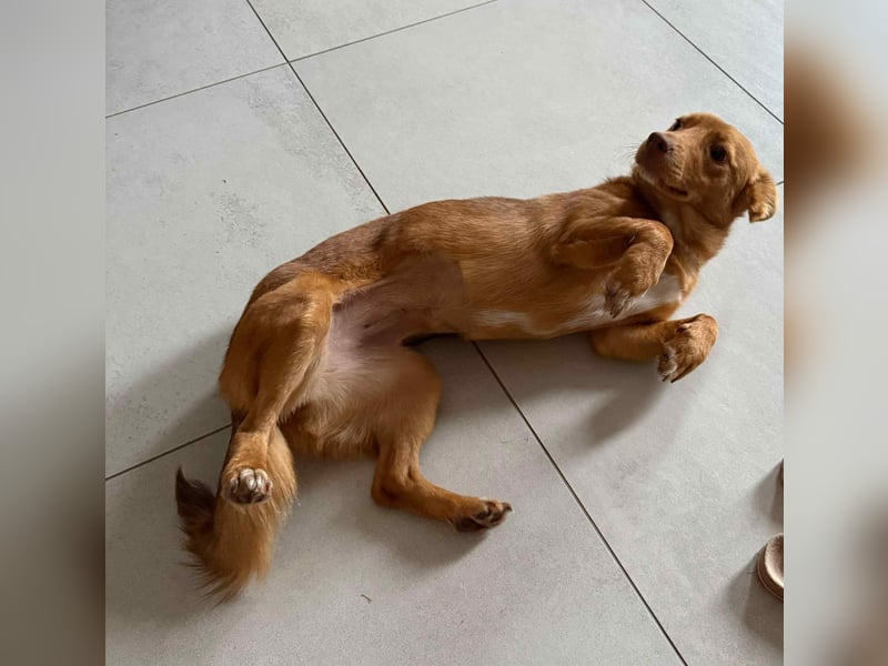 Zarte Kathi sucht ihre Menschen