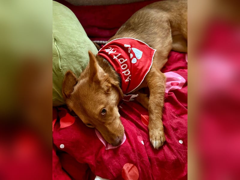 Zarte Kathi sucht ihre Menschen