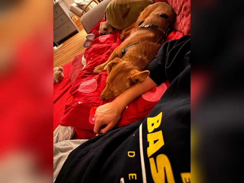 Zarte Kathi sucht ihre Menschen