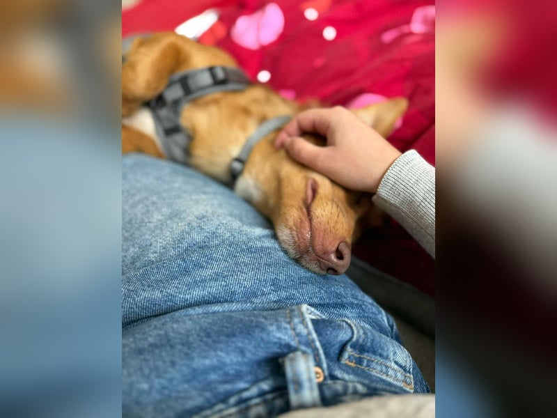 Zarte Kathi sucht ihre Menschen