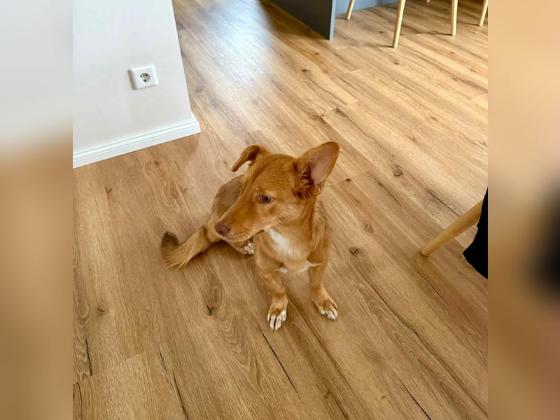 Zarte Kathi sucht ihre Menschen