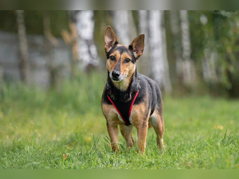 Verschmuste Ria sucht ihre Menschen