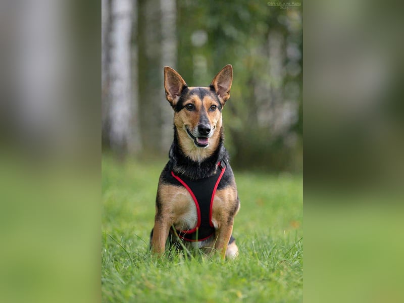 Verschmuste Ria sucht ihre Menschen