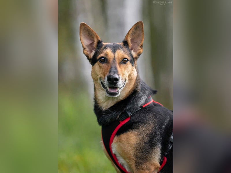 Verschmuste Ria sucht ihre Menschen