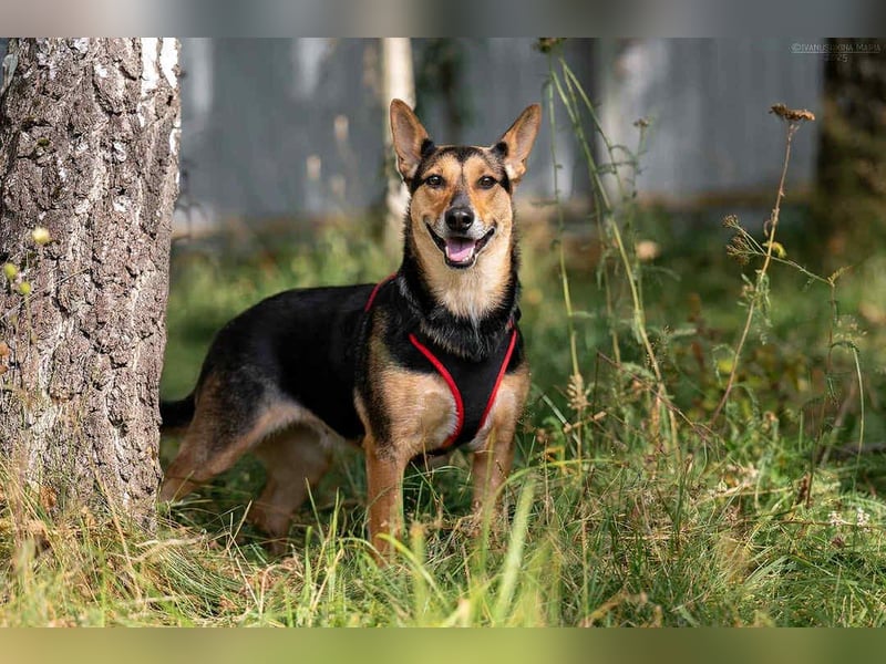 Verschmuste Ria sucht ihre Menschen