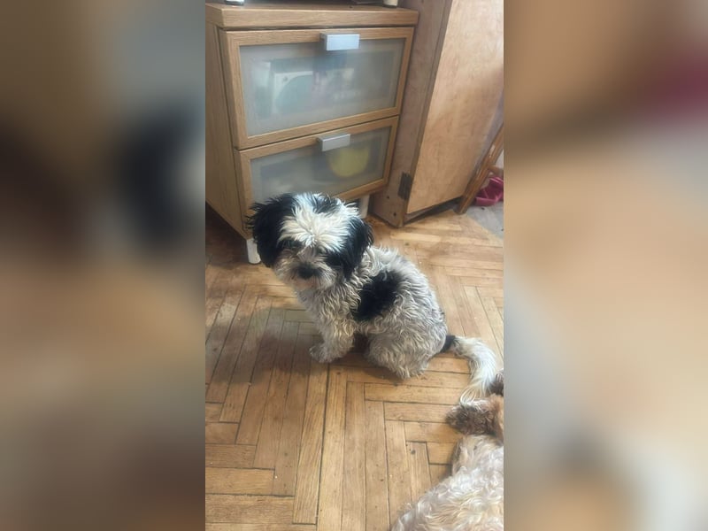 Sunshine, mit mir kommt Sonne ins Haus