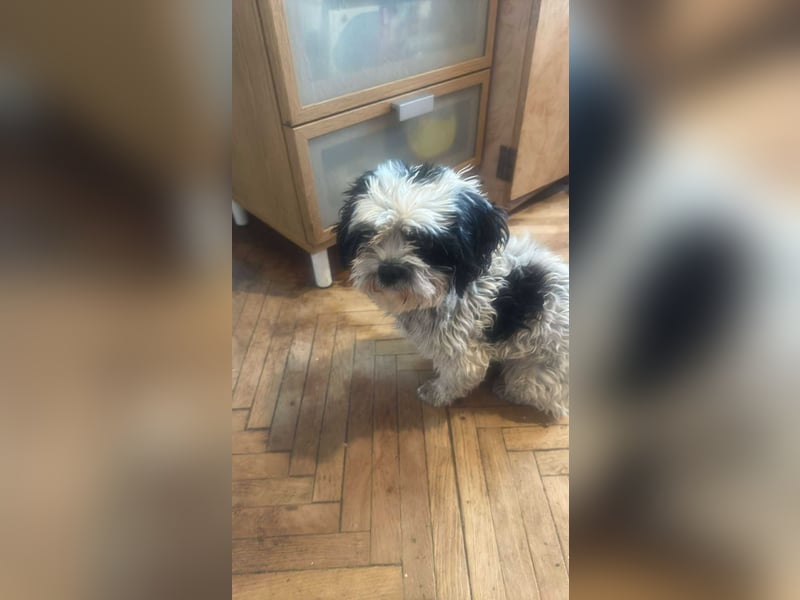 Sunshine, mit mir kommt Sonne ins Haus