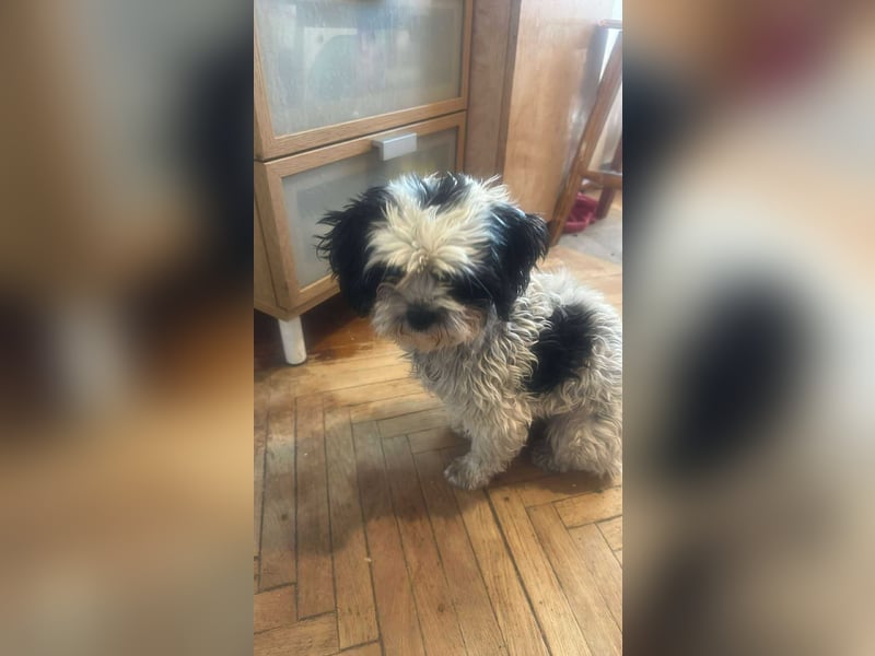 Sunshine, mit mir kommt Sonne ins Haus