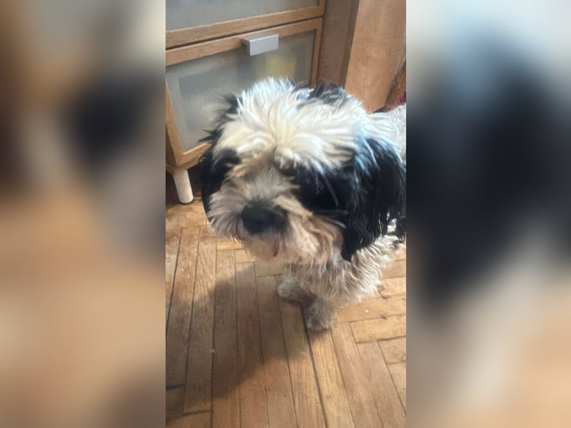 Sunshine, mit mir kommt Sonne ins Haus