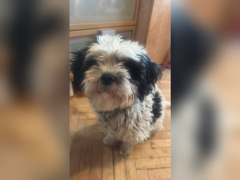 Sunshine, mit mir kommt Sonne ins Haus