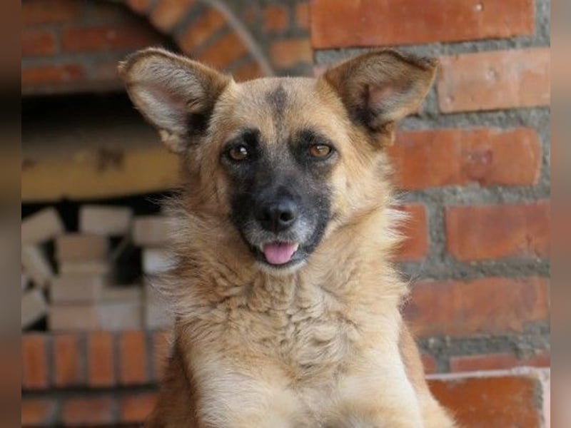 Liebe und sanfte Flurina sucht ihre Menschen